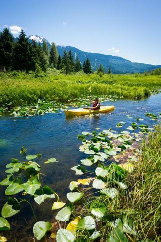 Golf Course & Mountain Views By Harmony Whistler
