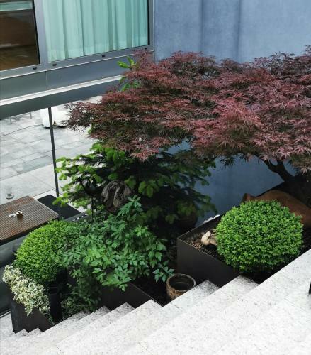 Apartamento Belle De Jour