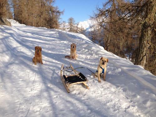 Apartamento Engadin Holidays Ch - Chasa 32 In Guarda