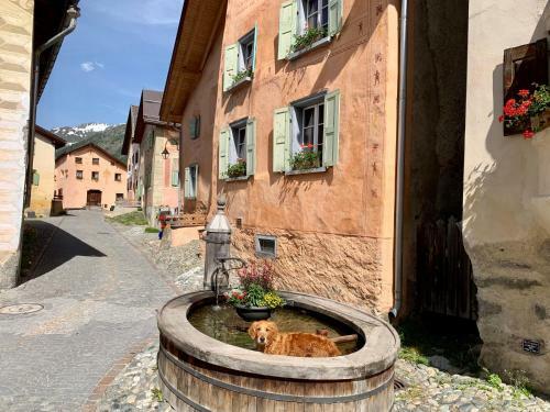 Apartamento Engadin Holidays Ch - Chasa 32 In Guarda