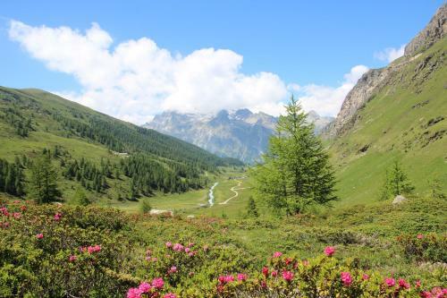 Hotel Sonne Fex Alpine Hideaway