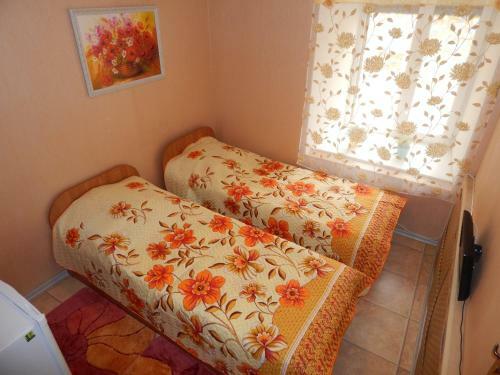 Albergue Advance Trio
