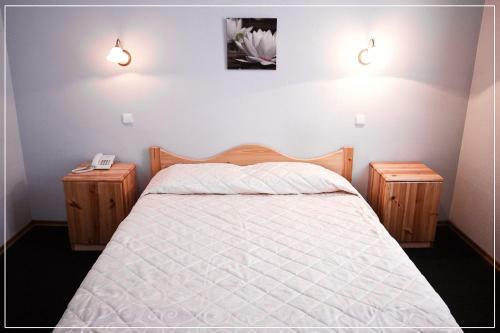 Hotel Lebedushka Na Engelsa