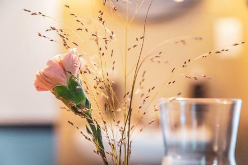 Pop Up Hotel Krone Z�rich
