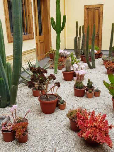 Bed & Breakfast La Sombra Del Viento