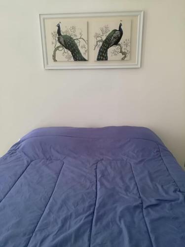 Apartamento Costa Papudo