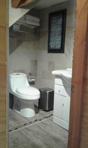 Apartamento Puc�n Alojamiento En Caba�a
