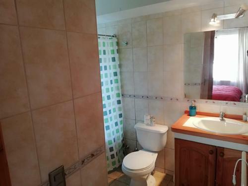 Apartamento Departamento Puc�n