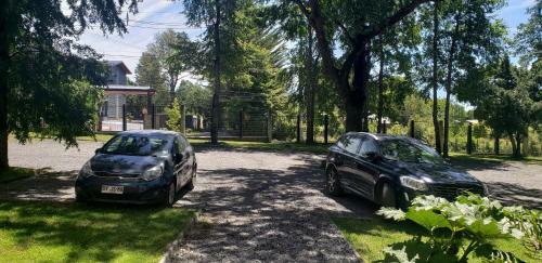 Apartamento Departamento Puc�n