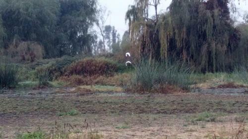Apartamento Casas En Campo Con AA "caba�as La Emboscada"
