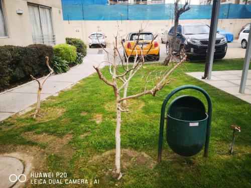 Apartamento Relajado Y Central