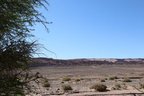 Lodge Atacama Horse