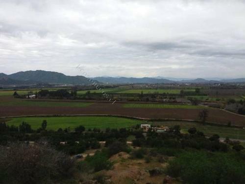 Hotel Boutique Colchagua D'vino