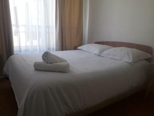 Apartamento Depto Metro La Moneda