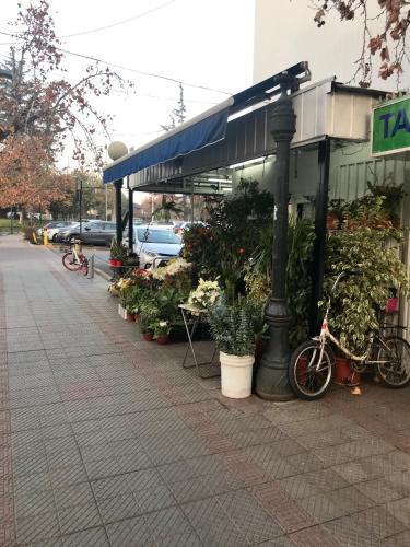 Apartamento Las Camelias 2861