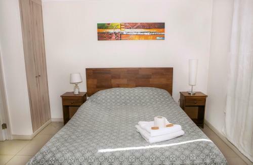 Apartamento Santiago Moneda