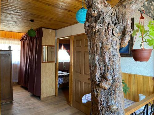 Albergue Hostal S&g