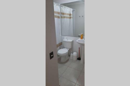 Apartamento Departamento En Valdivia