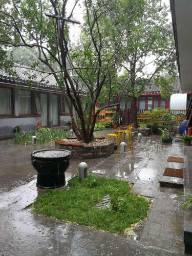 Courtyard Guesthouse, Beijing