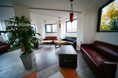 Poshpacker�chengdu Local Tea Hostel