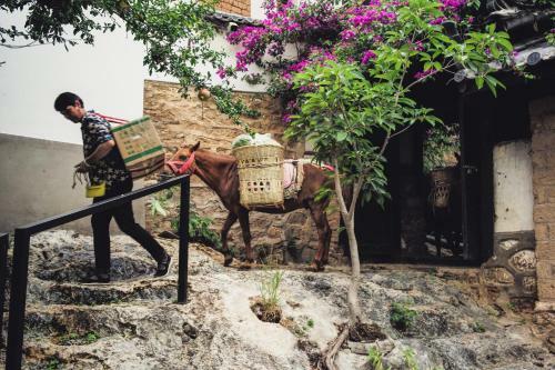 Hotel Lux* Tea Horse Road Stone Town