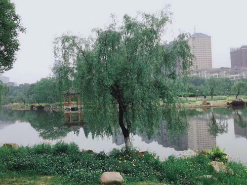 Hotel 7days Inn Ji`an Chengnan Government Centre
