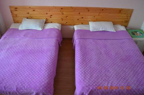 Hotel Istok