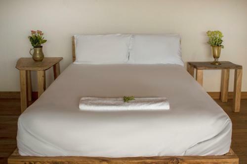 Bed & Breakfast El Fenix Farmstay