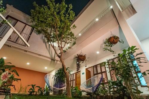 Bed & Breakfast Hotel Casa Madre