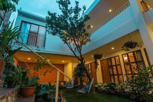 Bed & Breakfast Hotel Casa Madre
