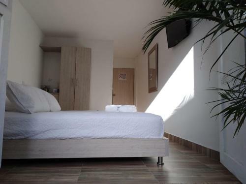 Hotel Golin San Agustin