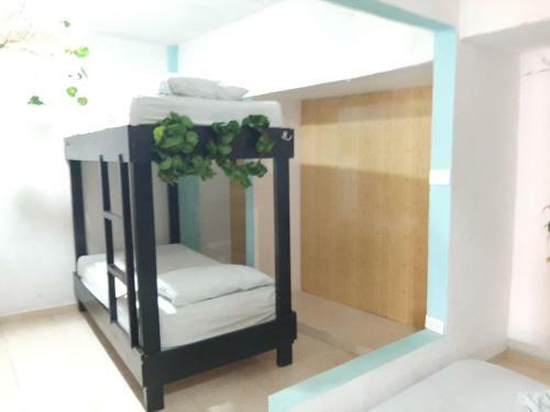 Albergue Hostal Pachamama Blue