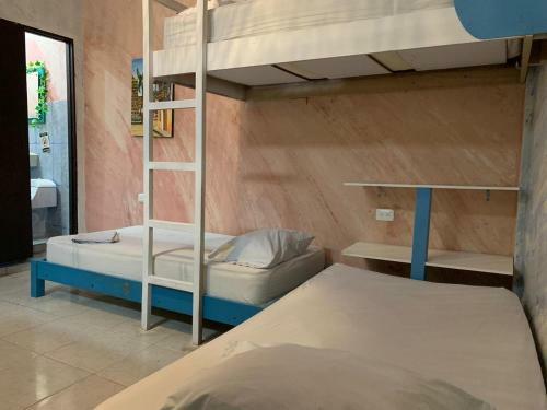Albergue Hostal Pachamama Blue
