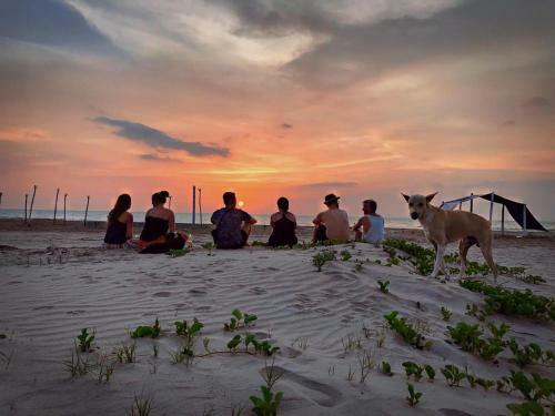 Albergue Zion Beach House