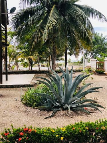 Hotel Cartagena Beach Bungalows