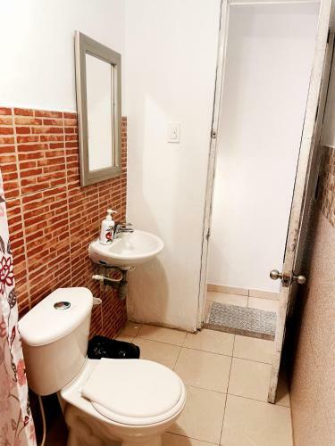 Hostal Casa Mam� Waldy New