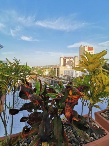 Hotel Luka Cartagena