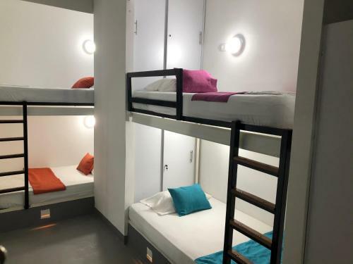 Hostal Birds Hostel