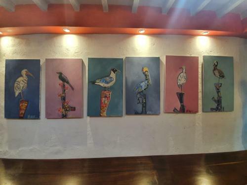 Hostal Birds Hostel