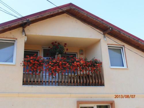Hostal Pensiunea Doma'r - Alina
