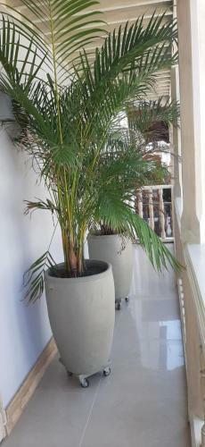 Apartamentos Casa Gimani