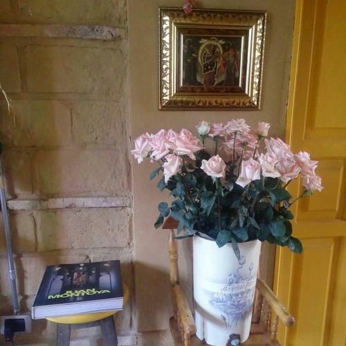 Bed & Breakfast Mi Casa Es Tu Casa Inn