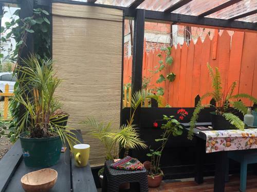 Bed & Breakfast Mi Casa Es Tu Casa Inn