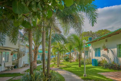 Apartaestudio Cove�itas 202