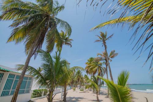 Apartaestudio Cove�itas 201