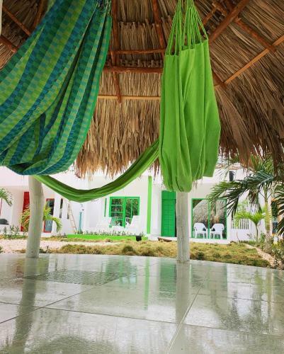 Bahia Tropical Sandia Kiwi Pi�a
