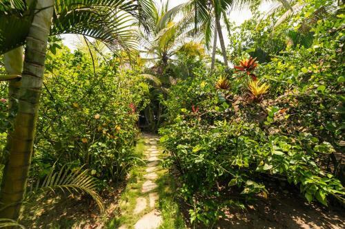 Hotel Cayena Beach Villa