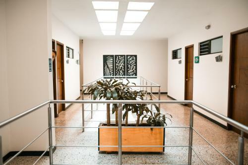 Hotel San Esteban Center