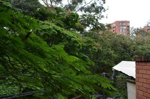 Hostal Brick Hostel