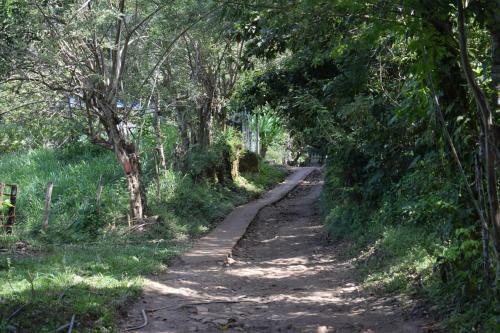 Hospedaje Los Pinos, Caba�a En Minca
